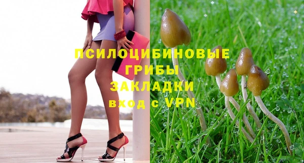соль курить ск Алзамай