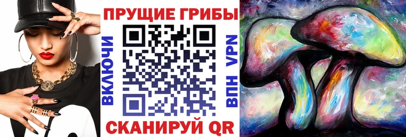 Галлюциногенные грибы прущие грибы  KRAKEN маркетплейс  Ноябрьск 